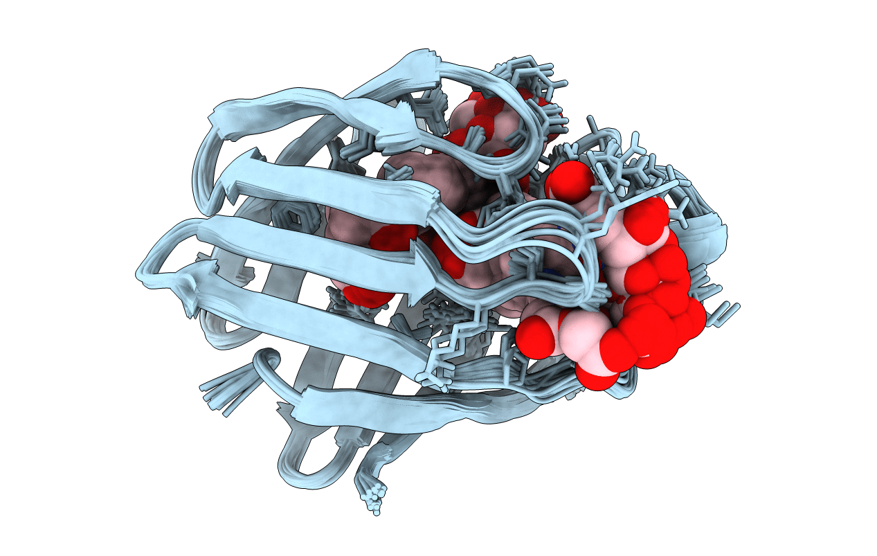 2LFO image