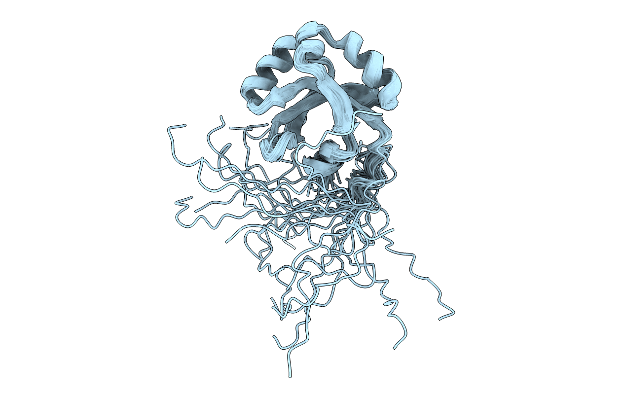 2LFV image