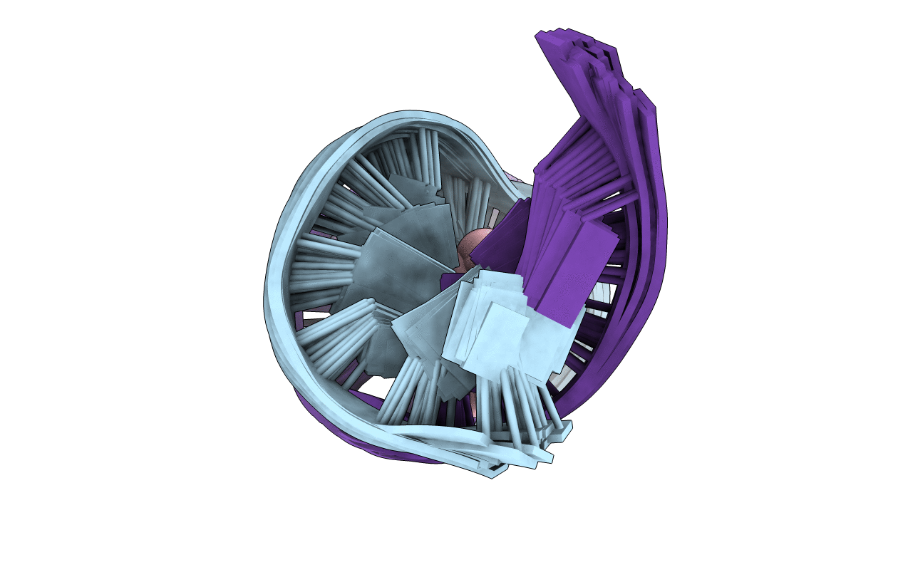 2LGM image