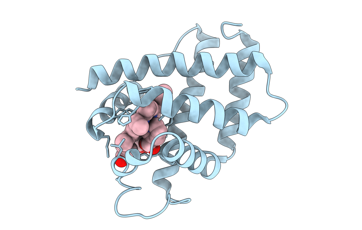 2LH6 image