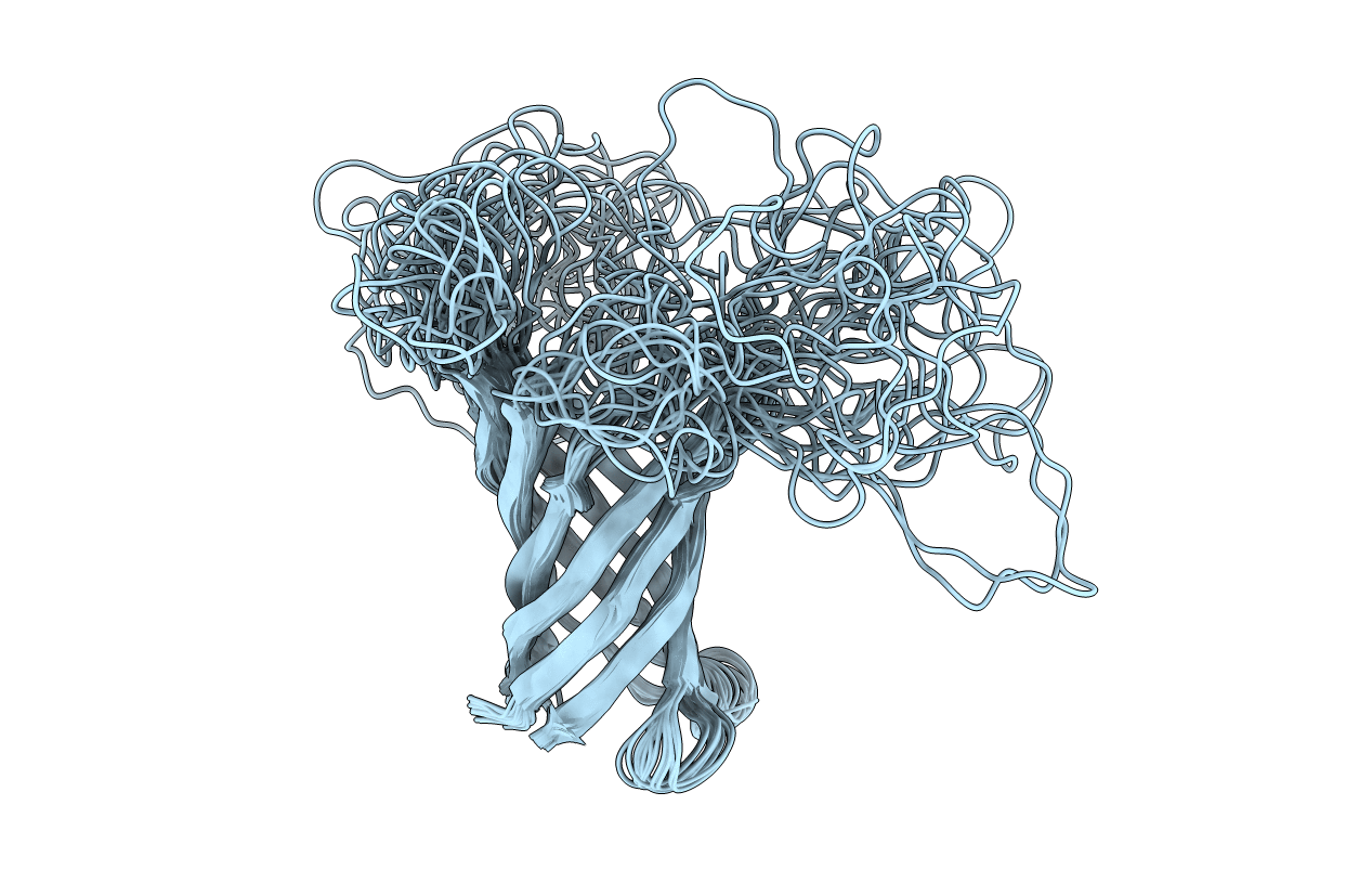 2LHF image
