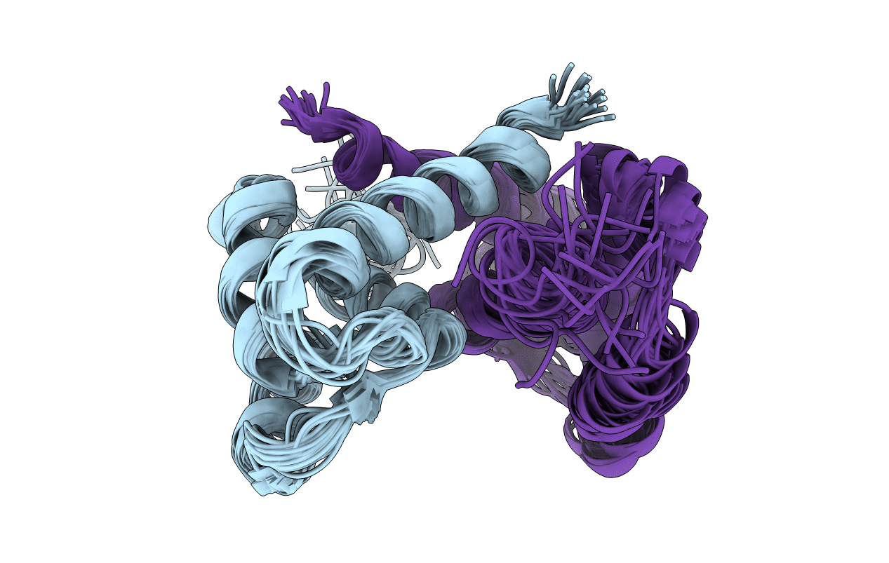2LHL image