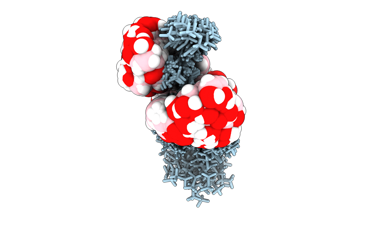 2LHW image