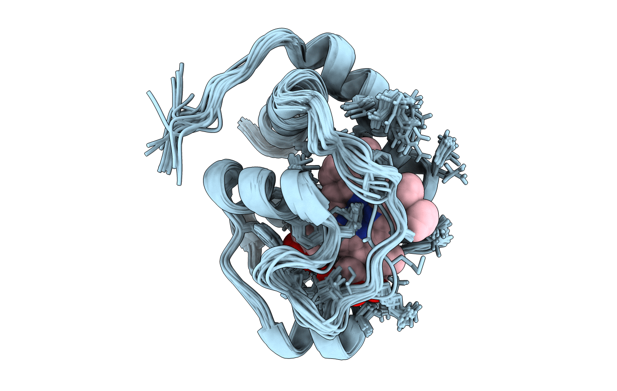 2LIR image