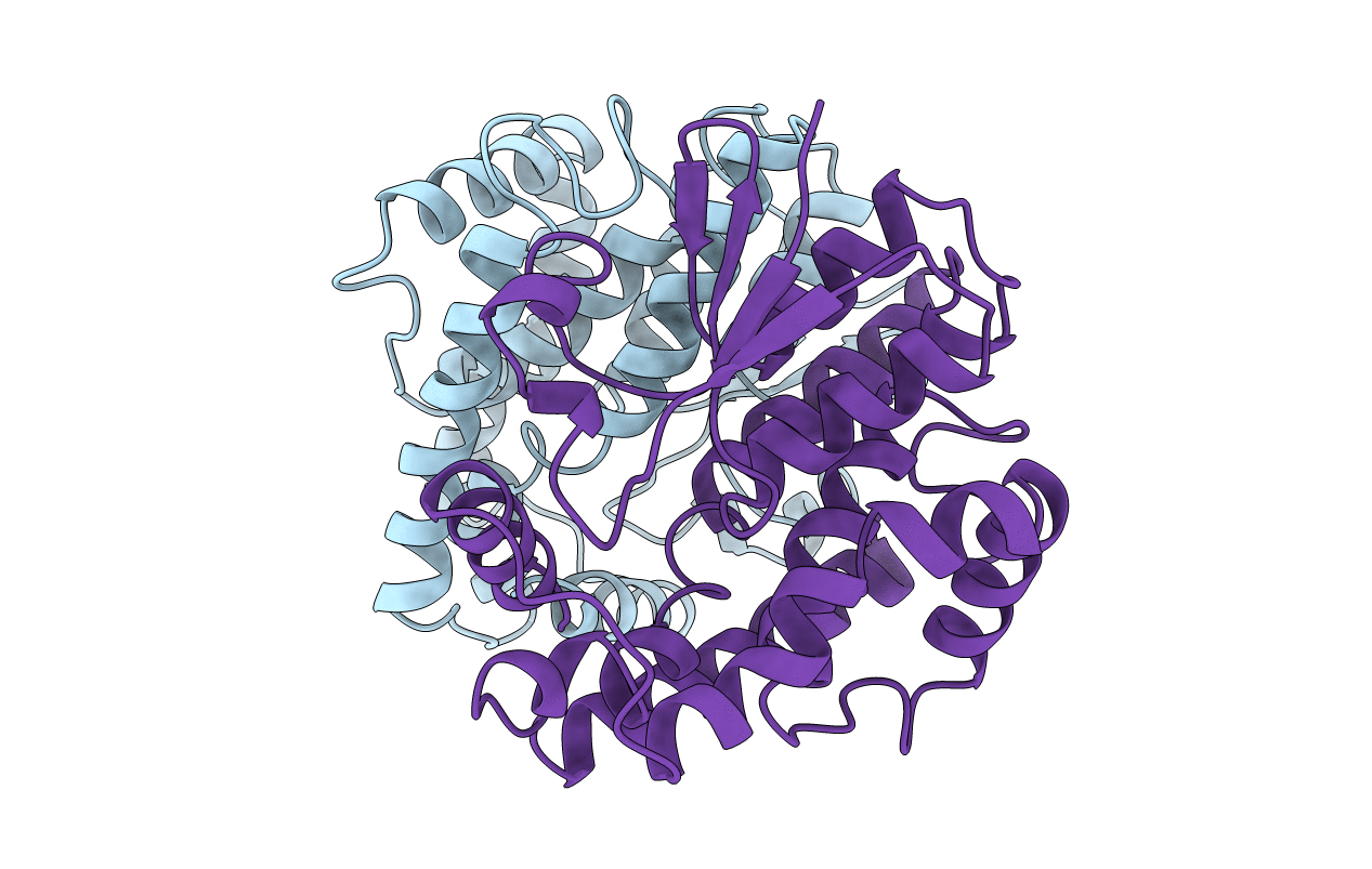 2LJR image