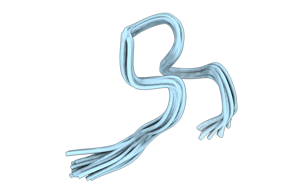 2LMB image