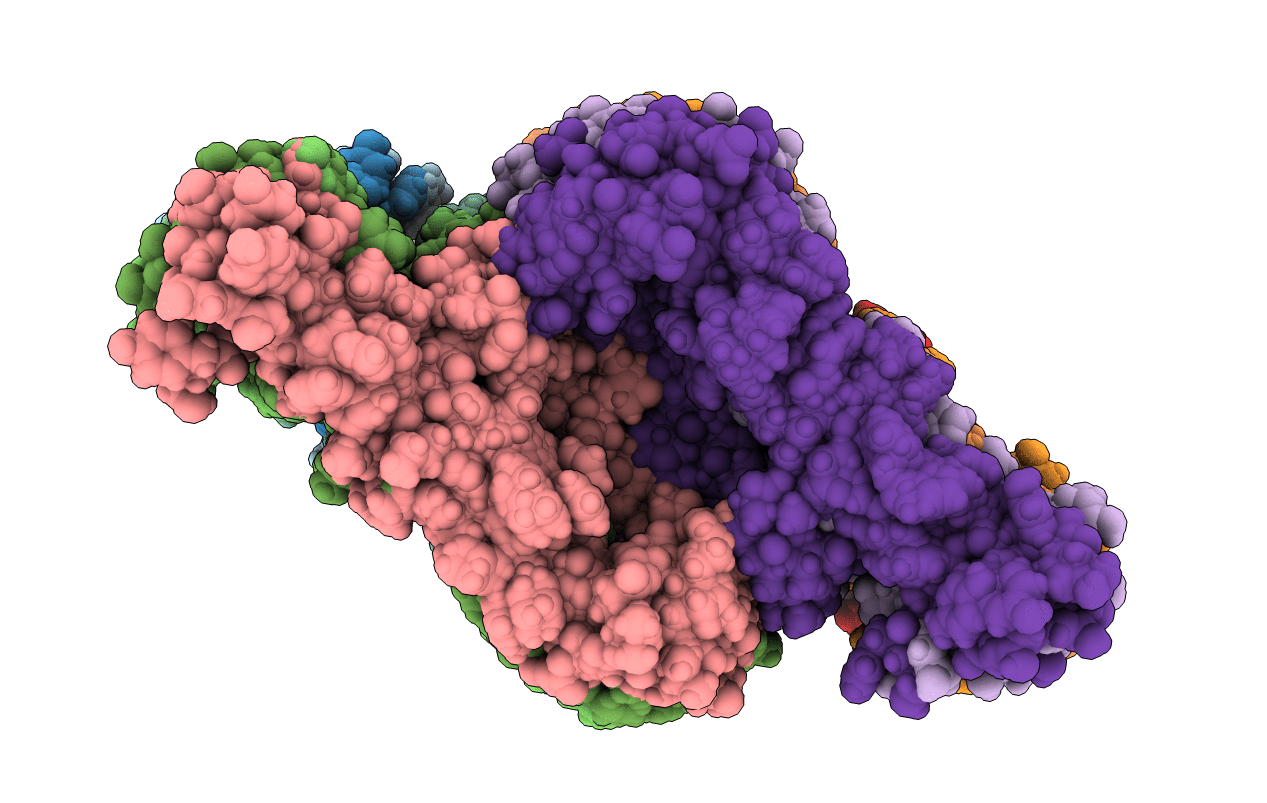 2LMN image