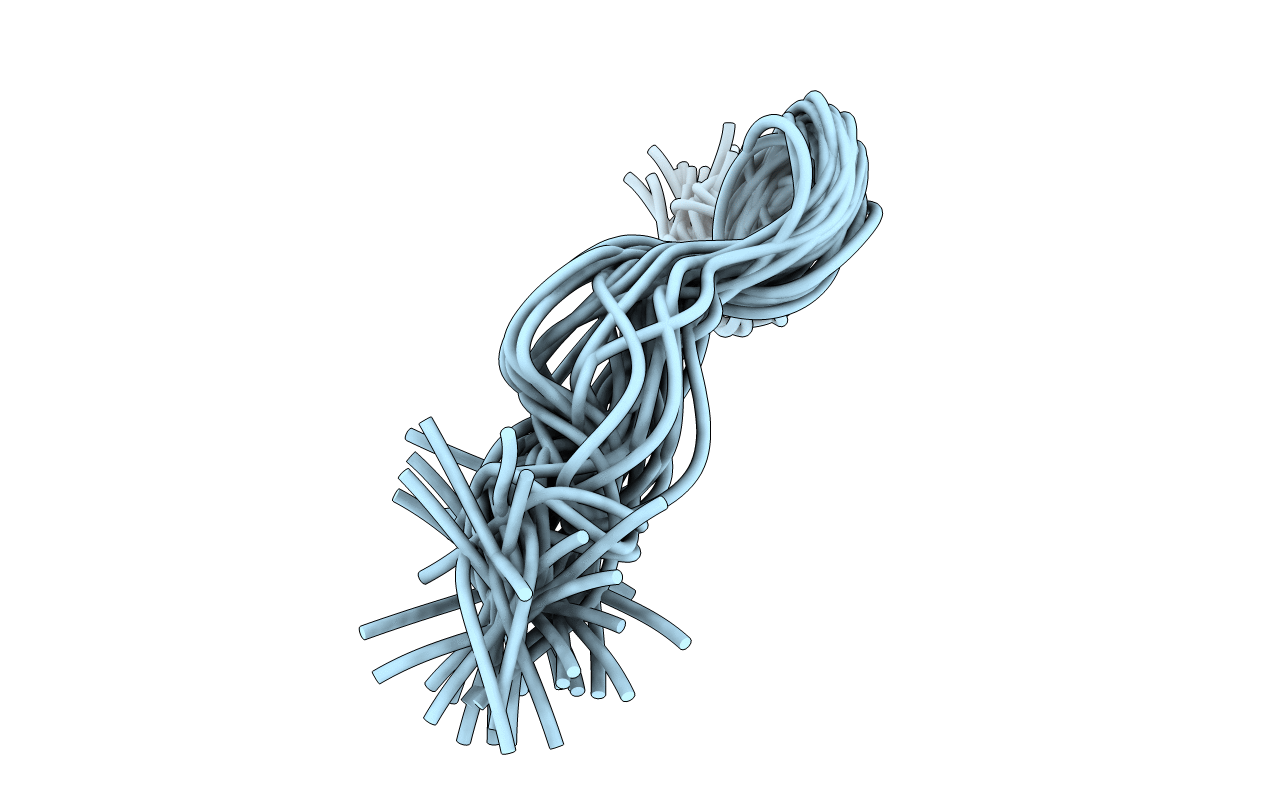 2LNE image