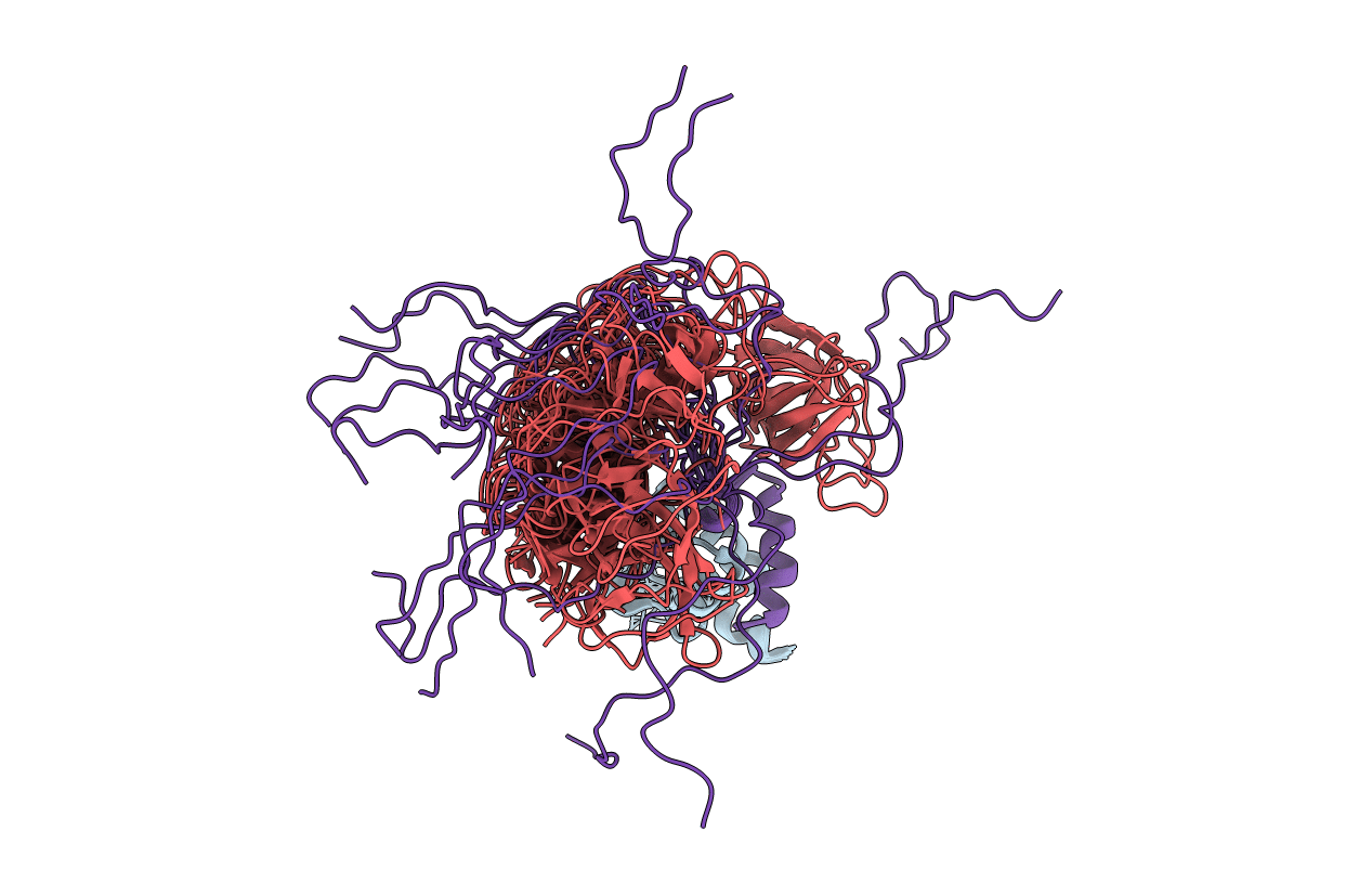 2LNH image