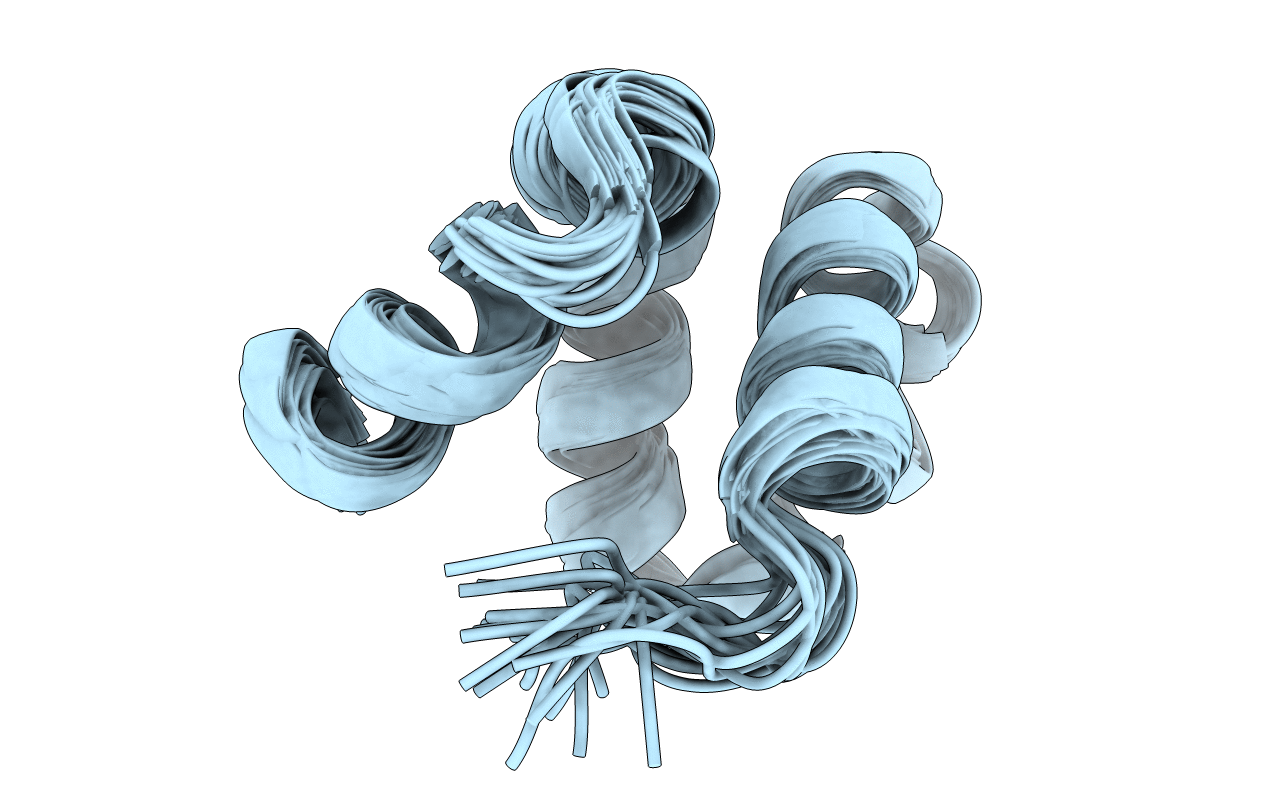 2LNM image