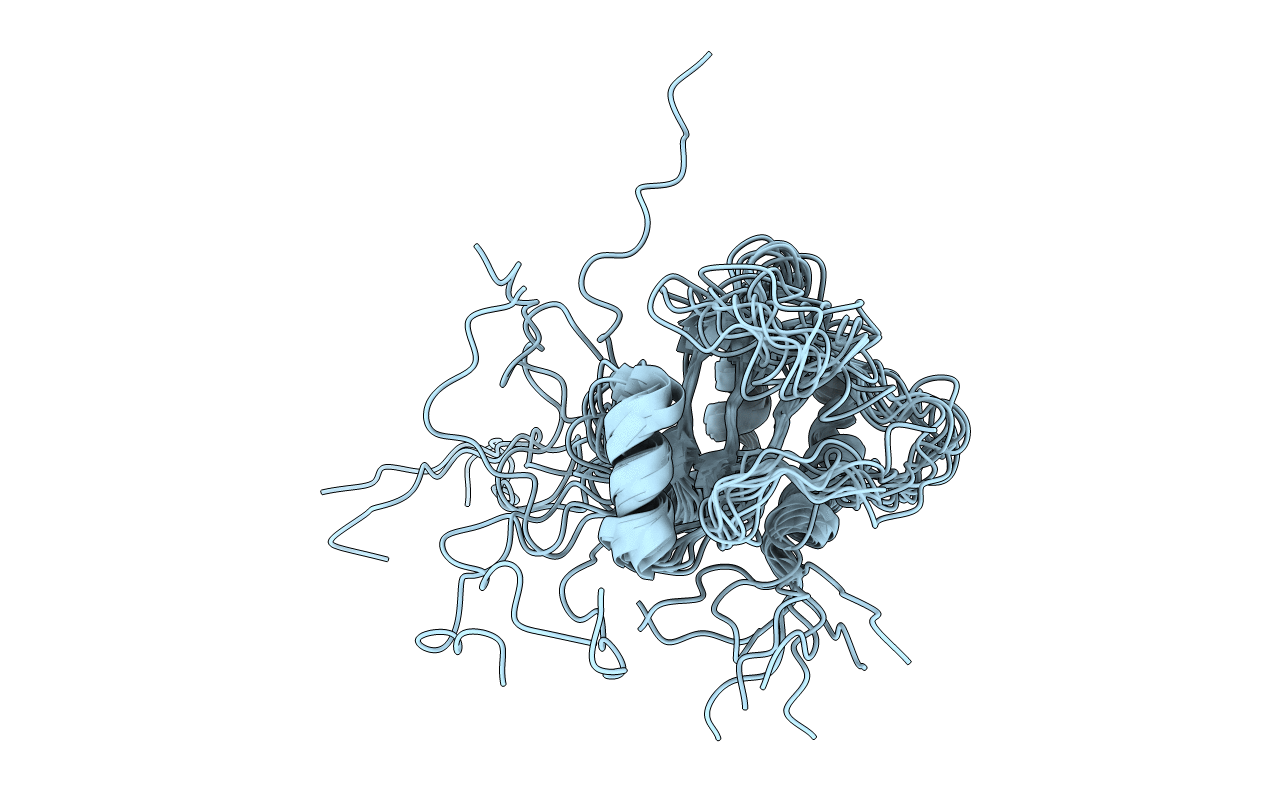 2LNT image