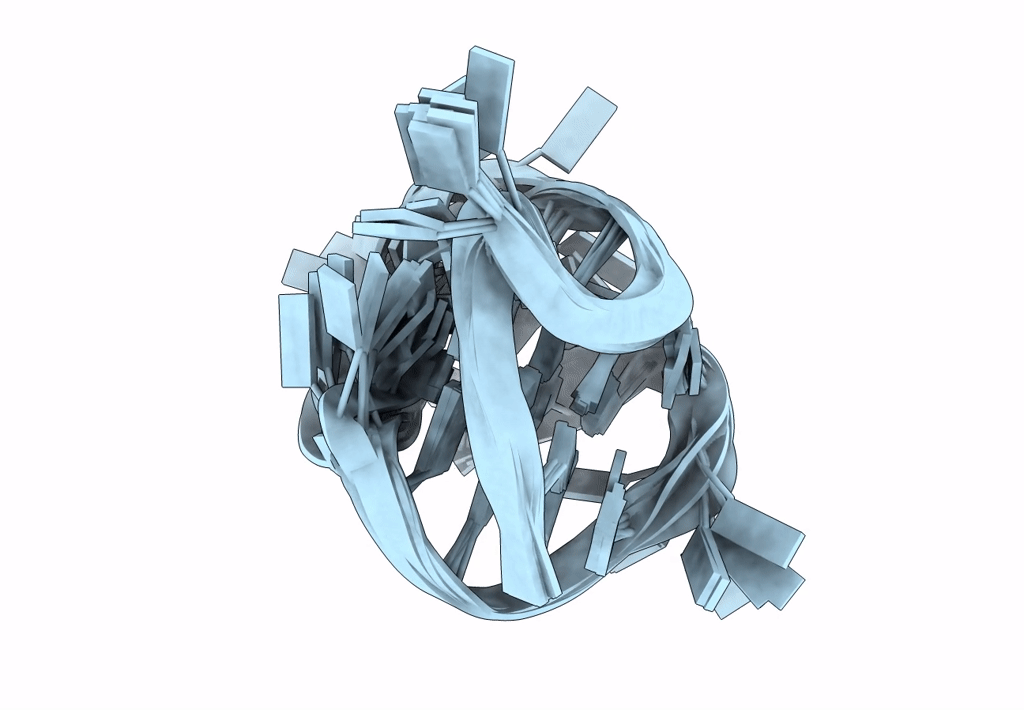 2LOD image