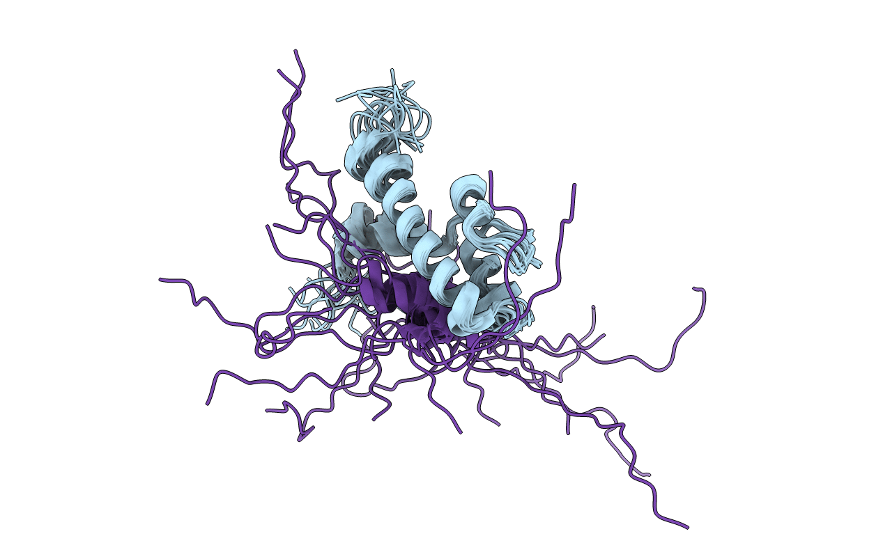 2LPB image