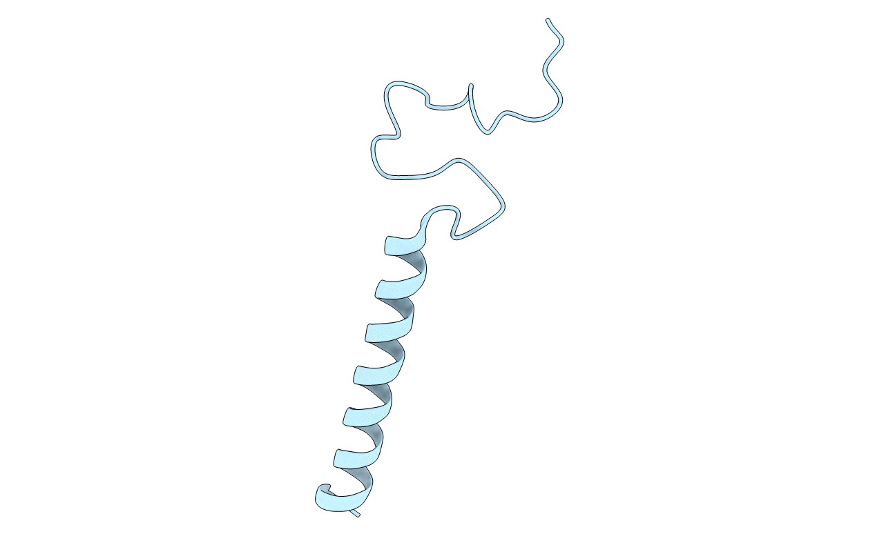 2LPF image