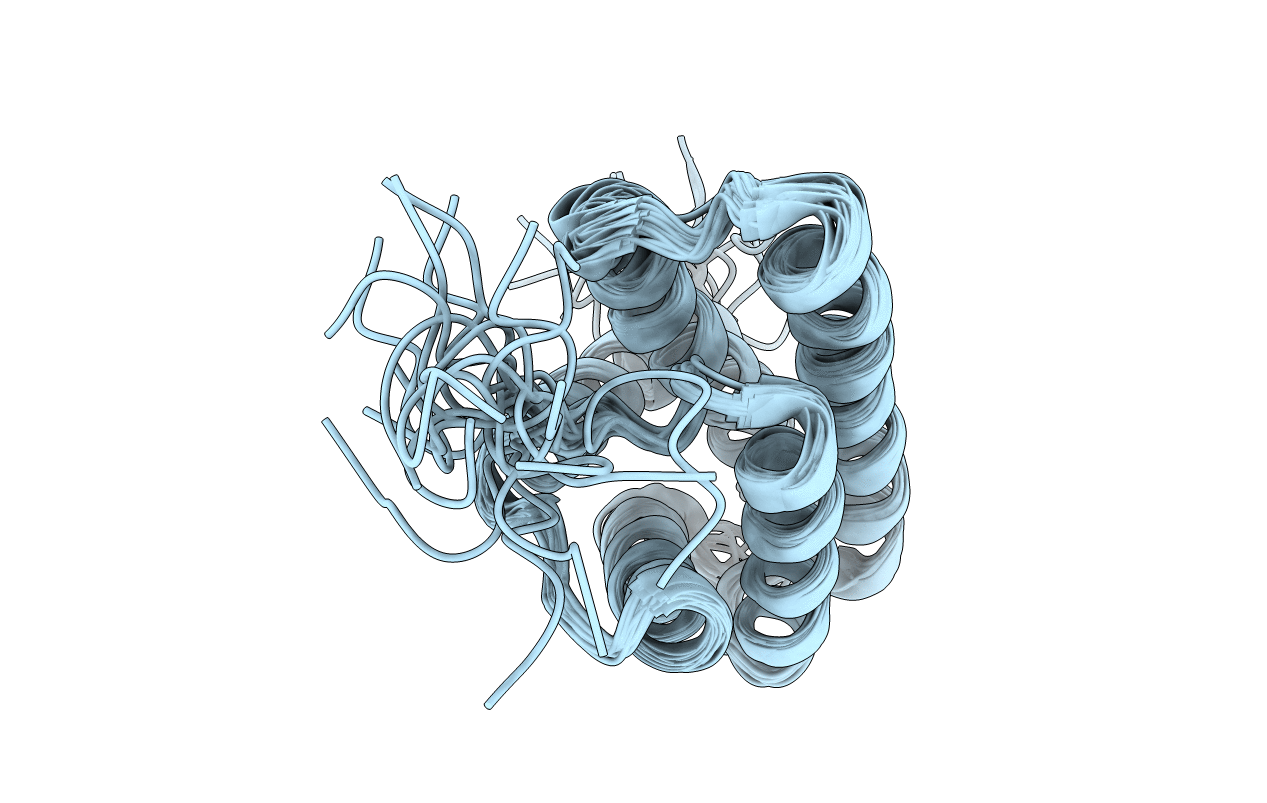 2LPI image