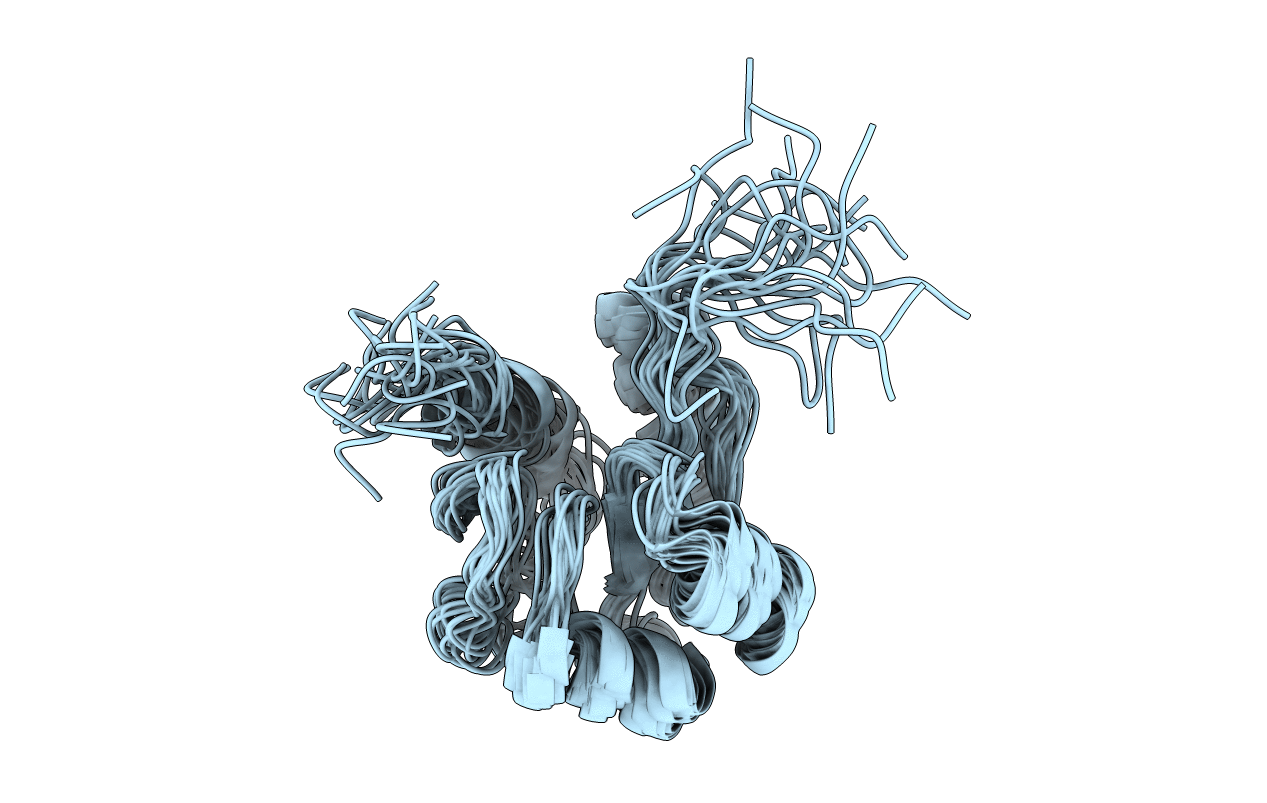 2LPM image