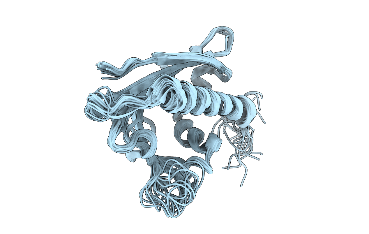 2LPX image