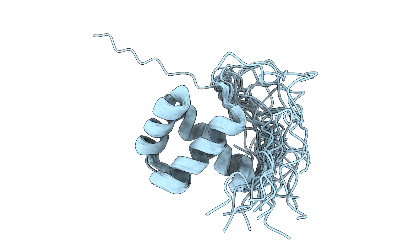 2LR8 image