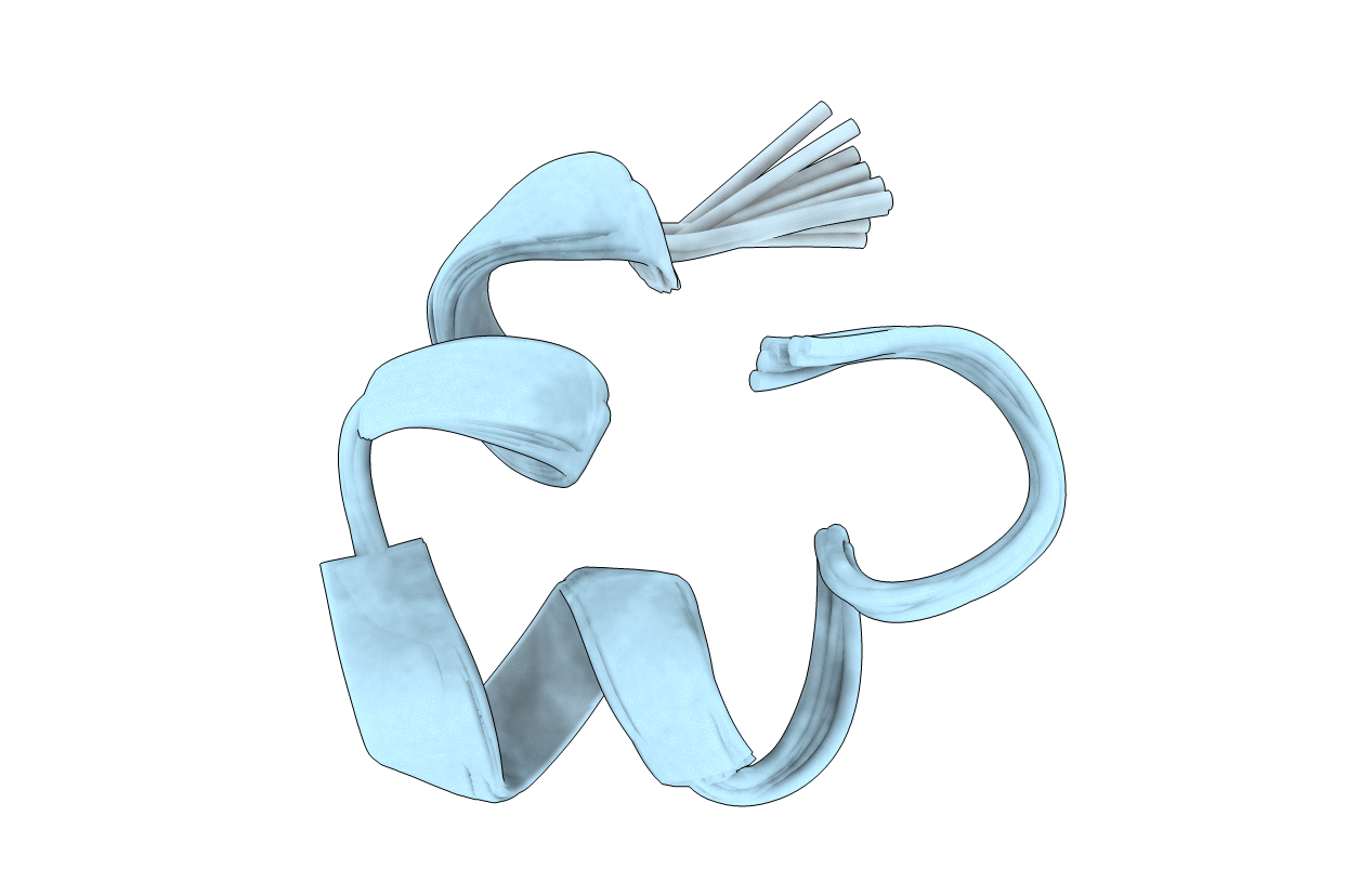 2LR9 image