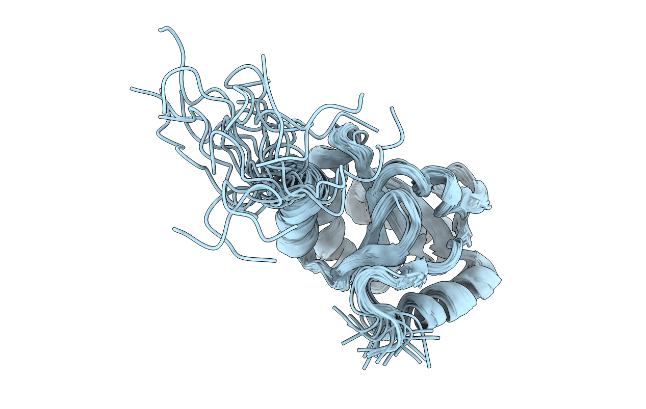 2LRN image