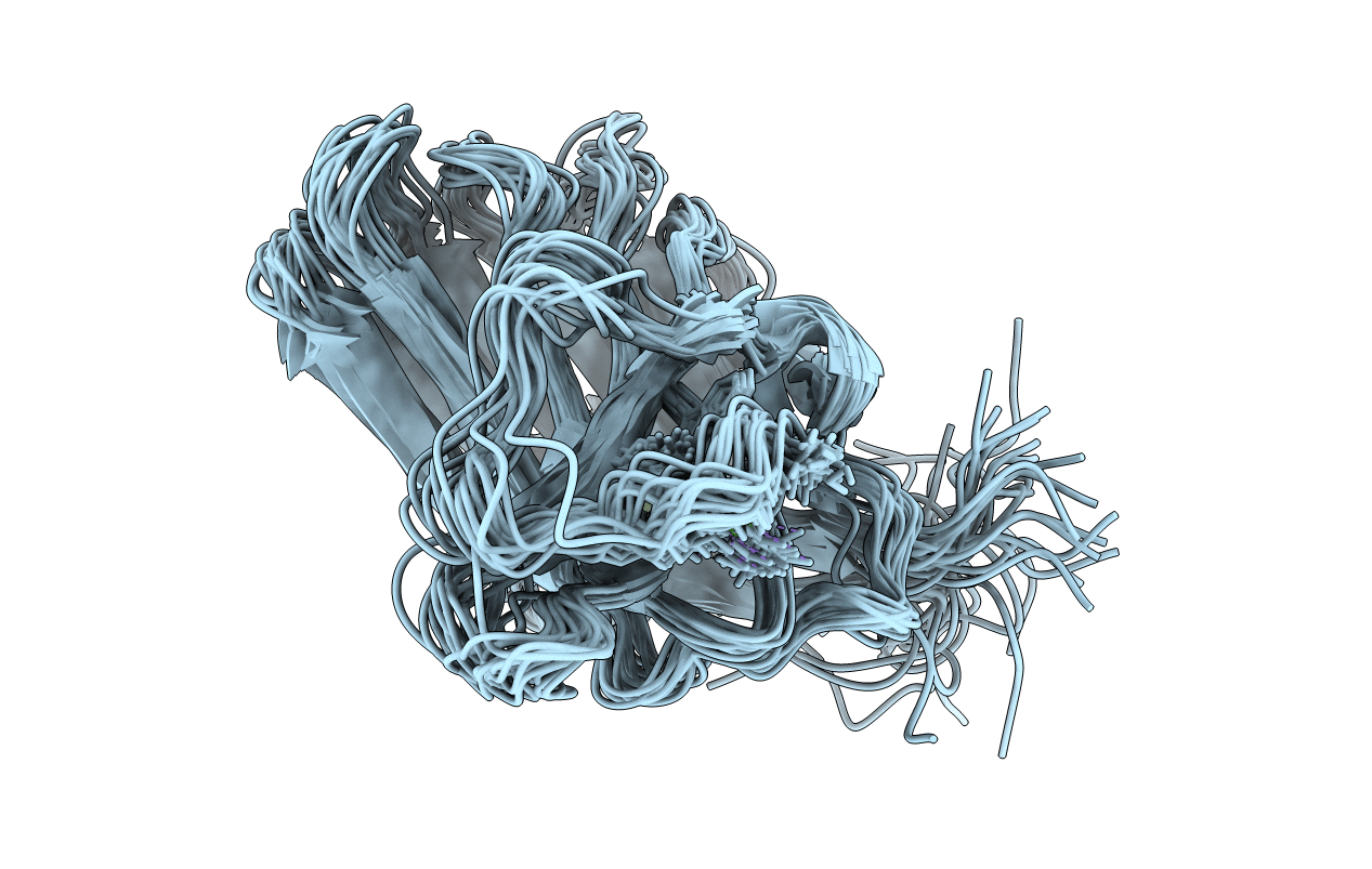 2LRP image