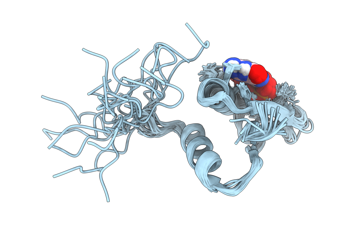 2LRR image