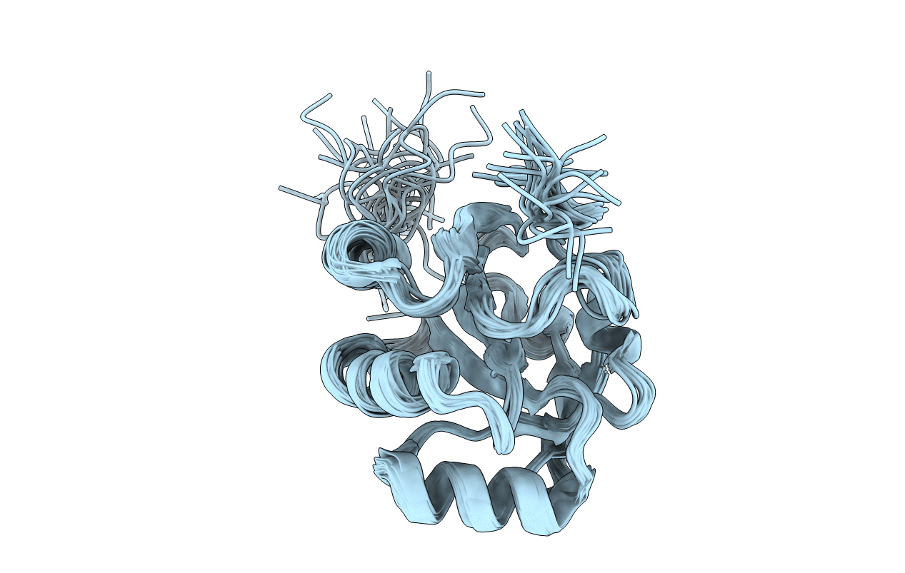 2LS5 image