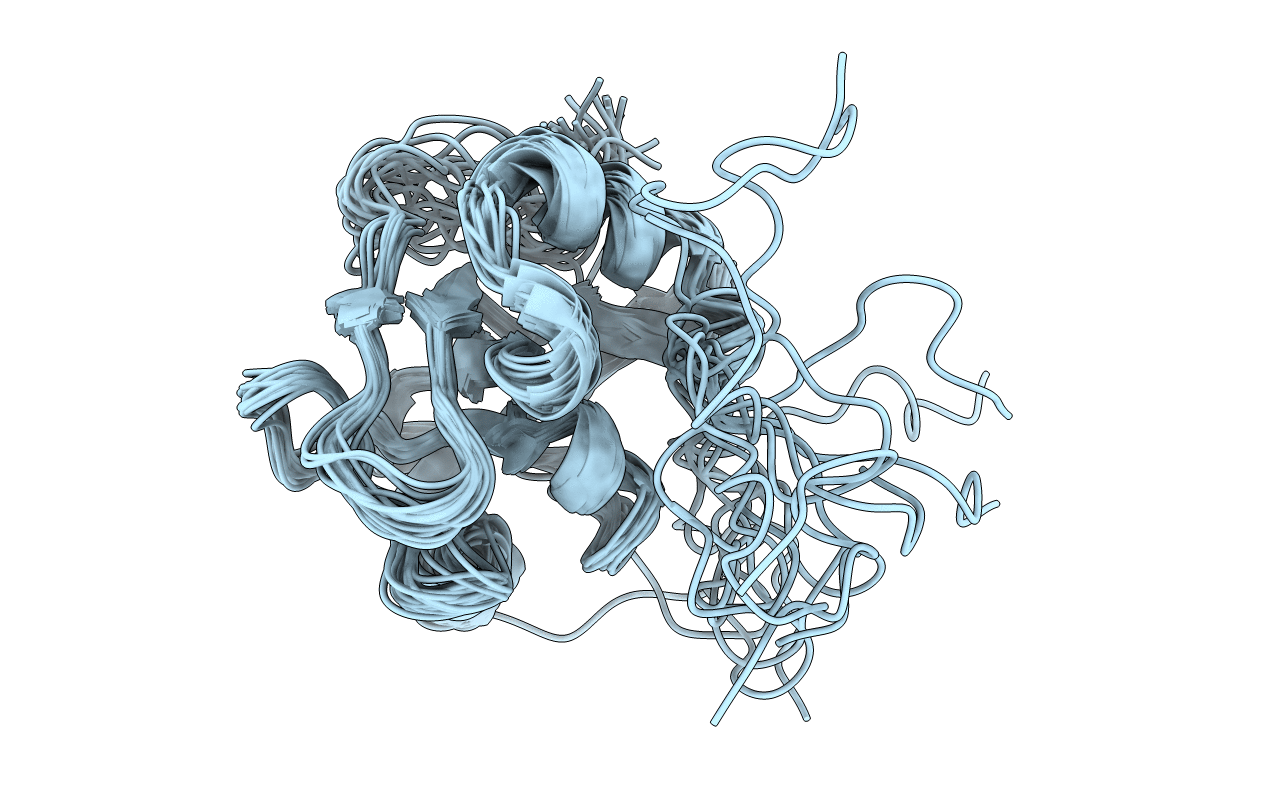2LSH image