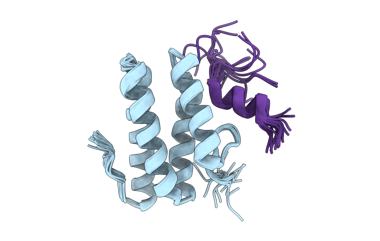 2LSI image