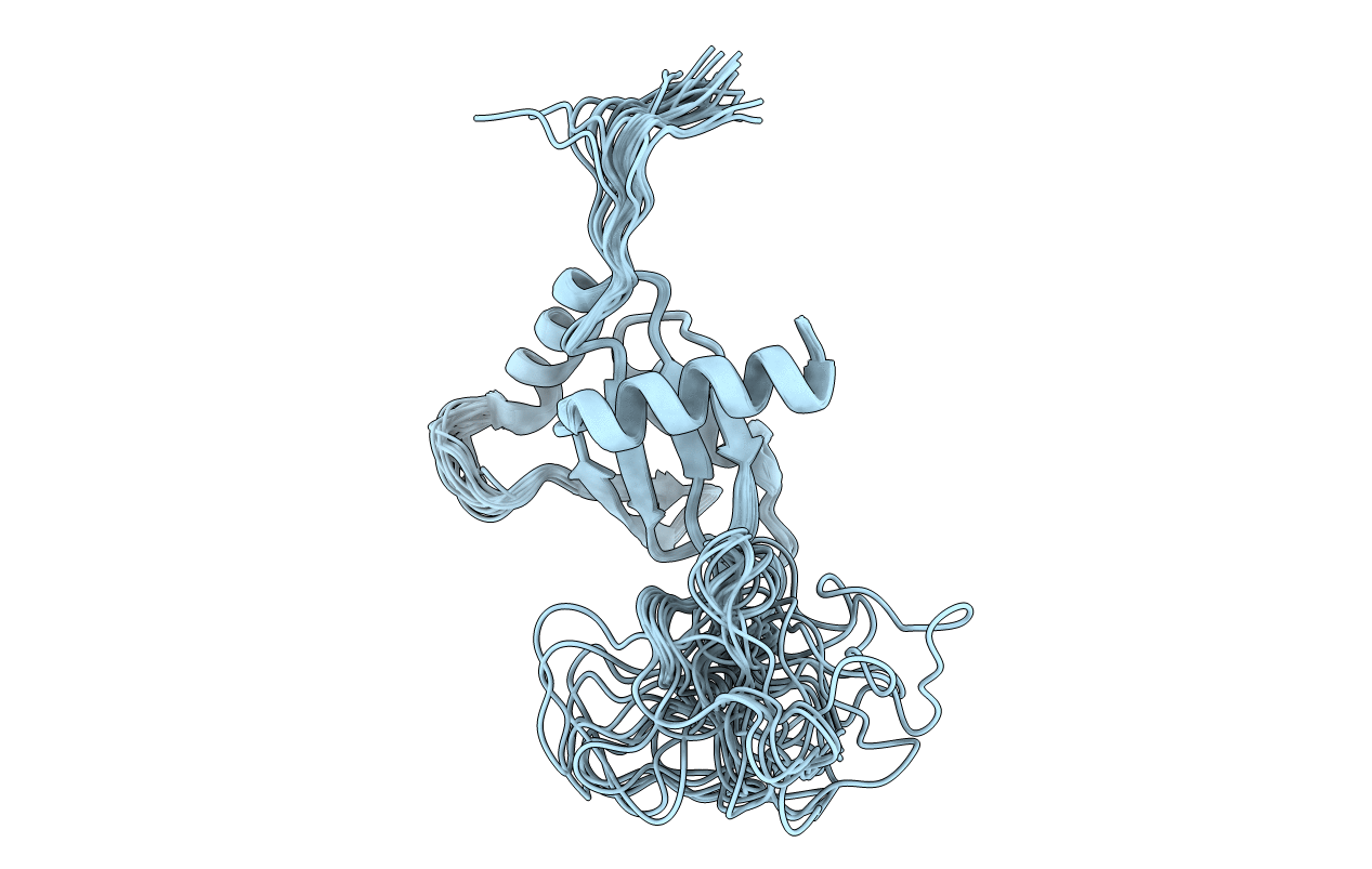 2LSL image