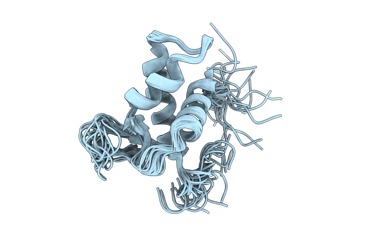 2LSO image