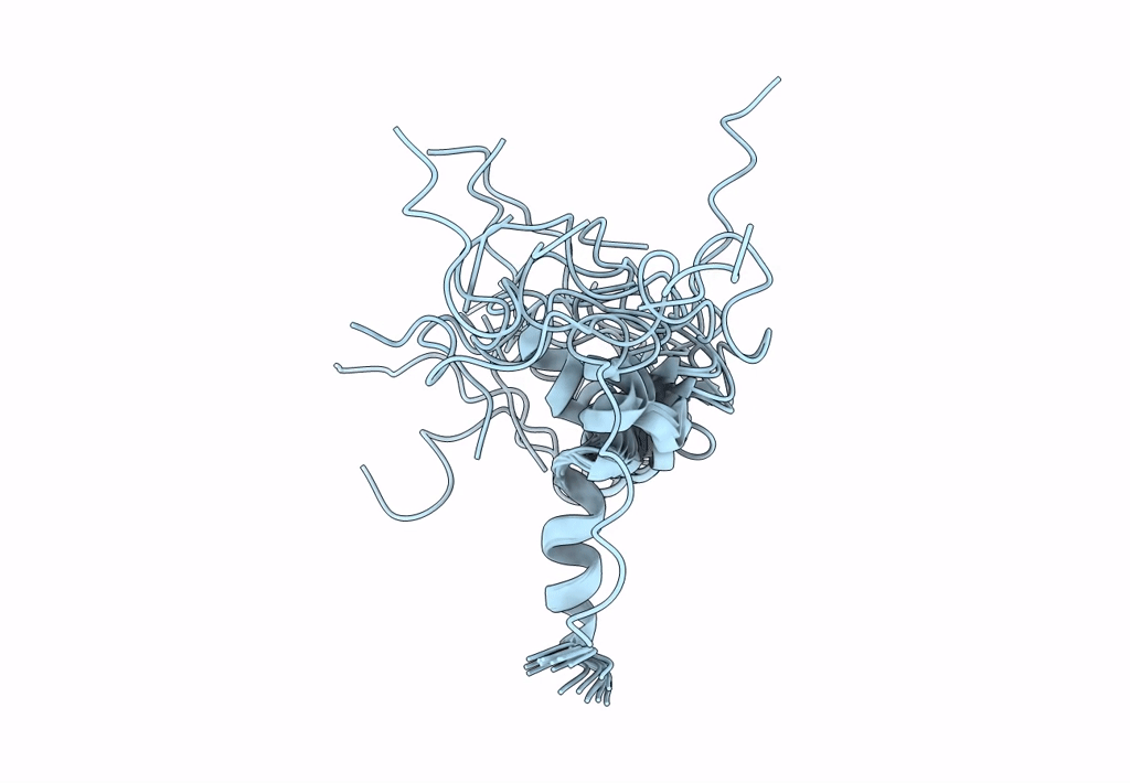2LSW image