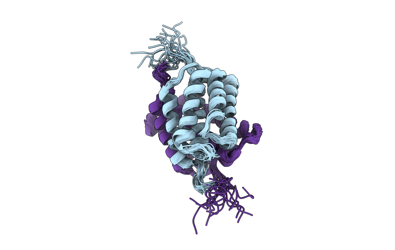 2LTH image