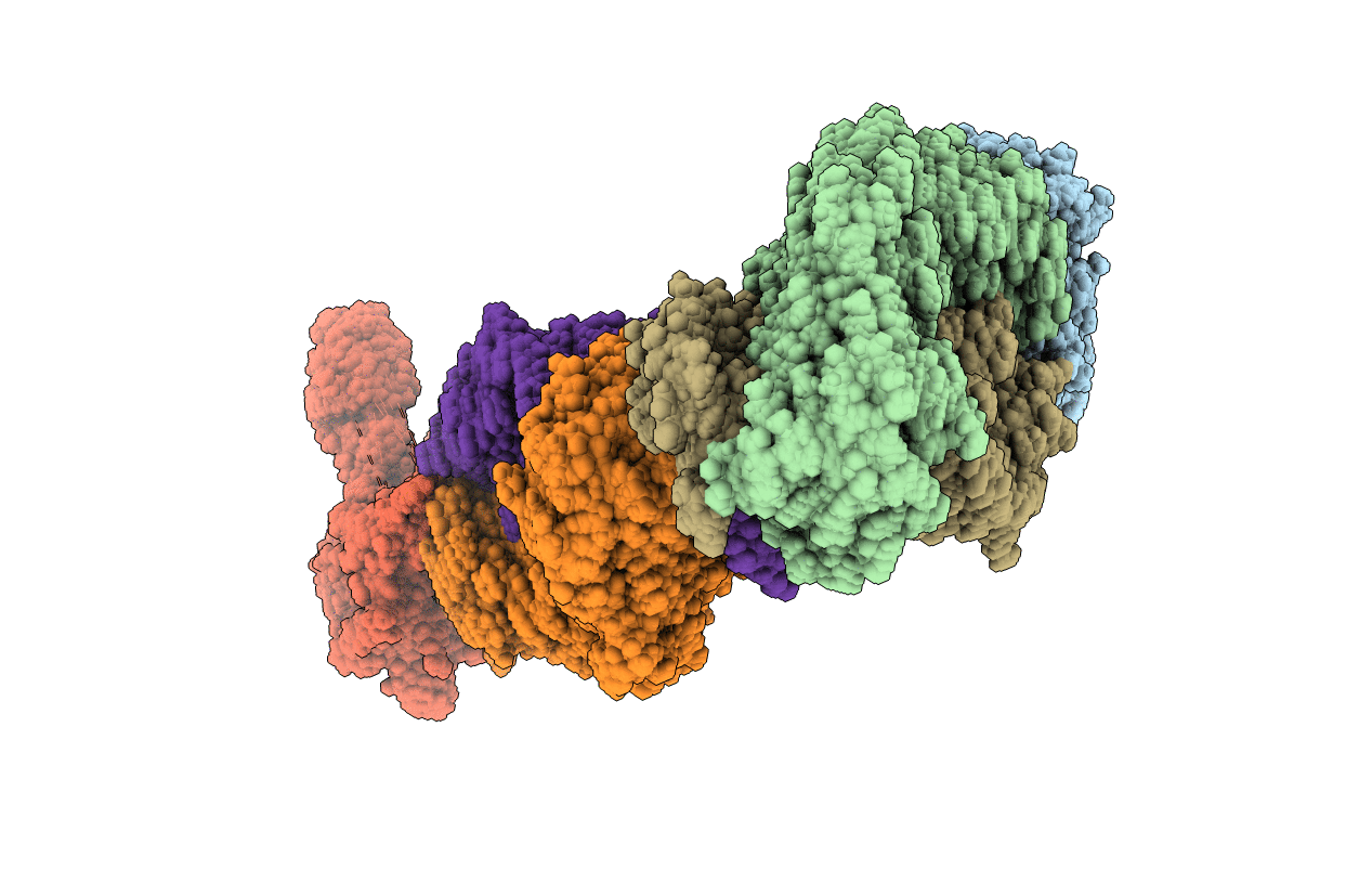 2LTQ image
