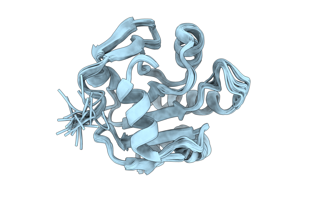 2LUS image