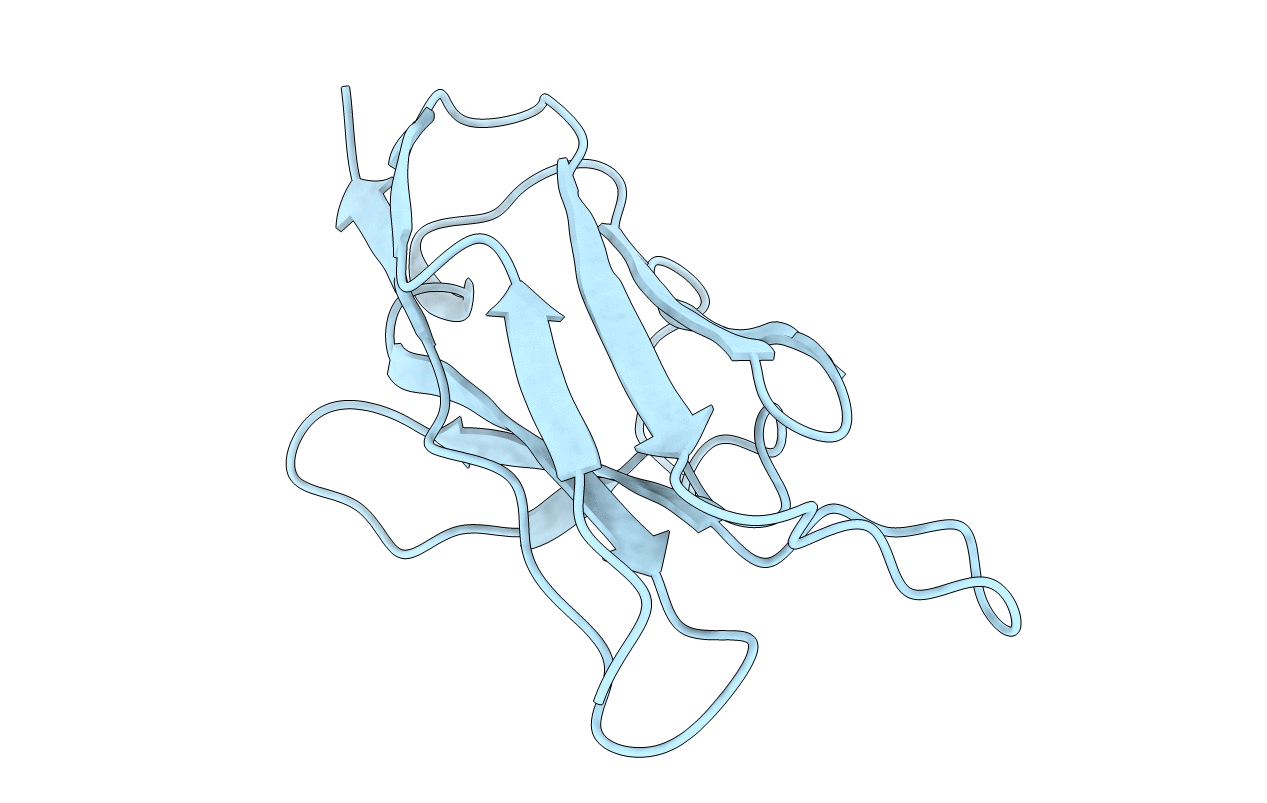 2LVE image
