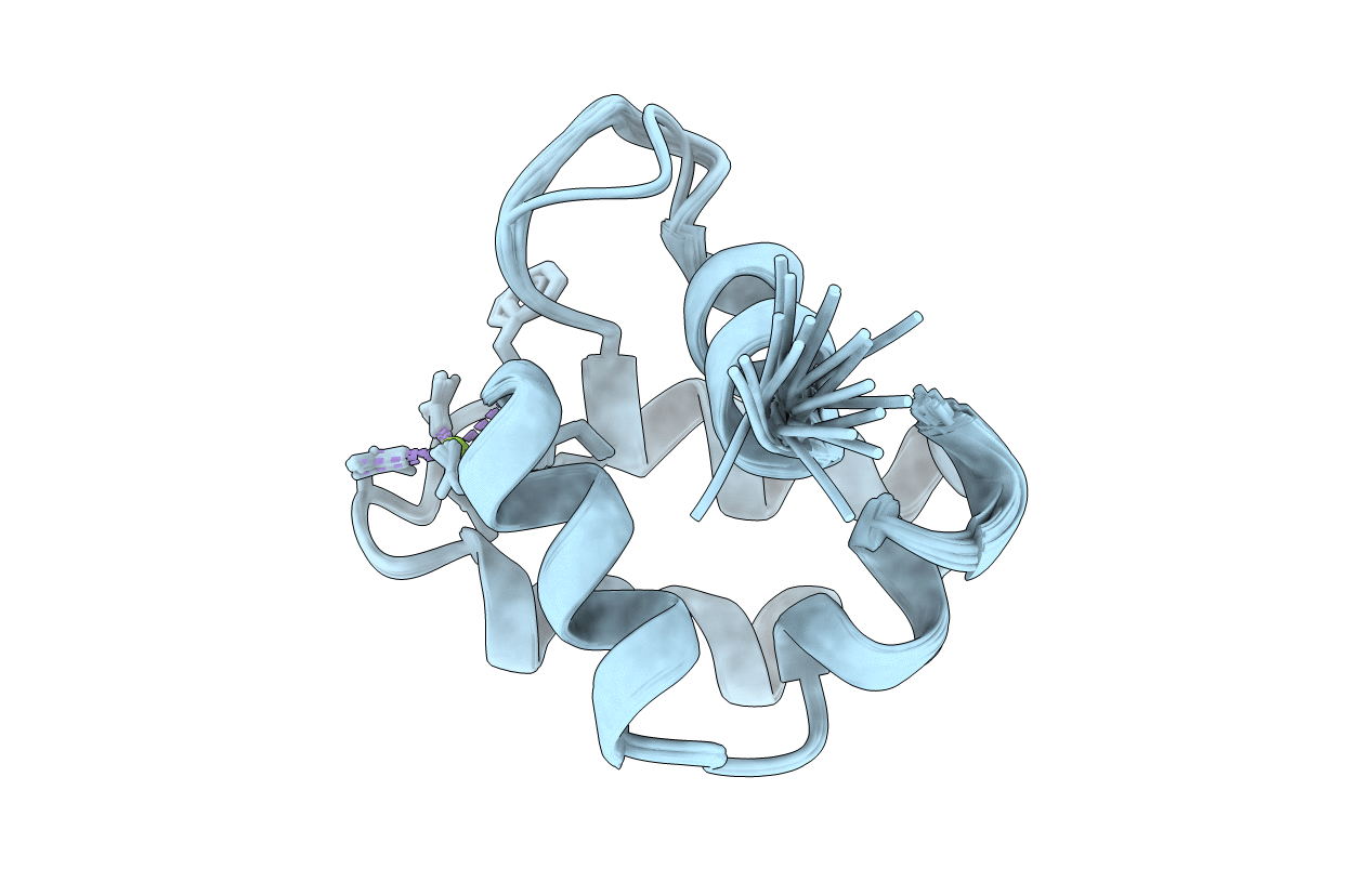 2LVJ image