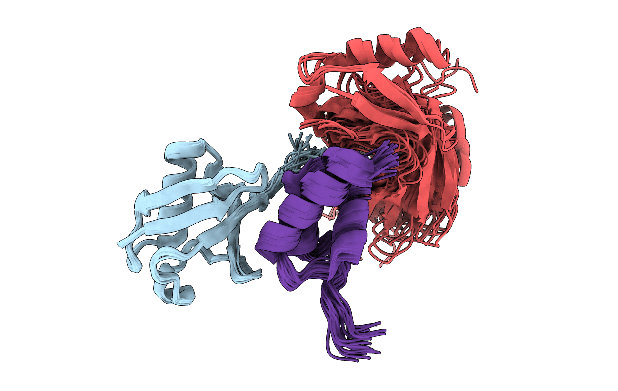 2LVP image