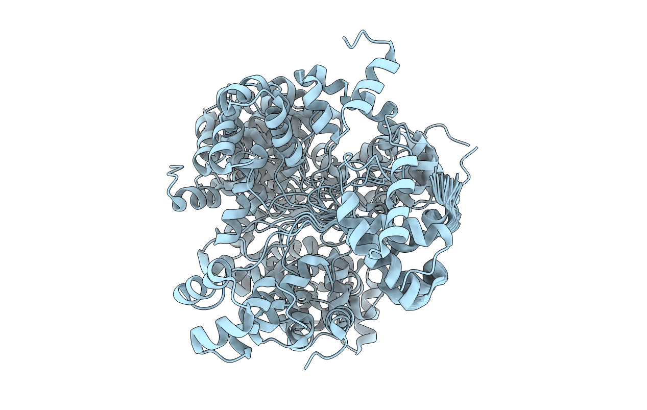 2LVS image