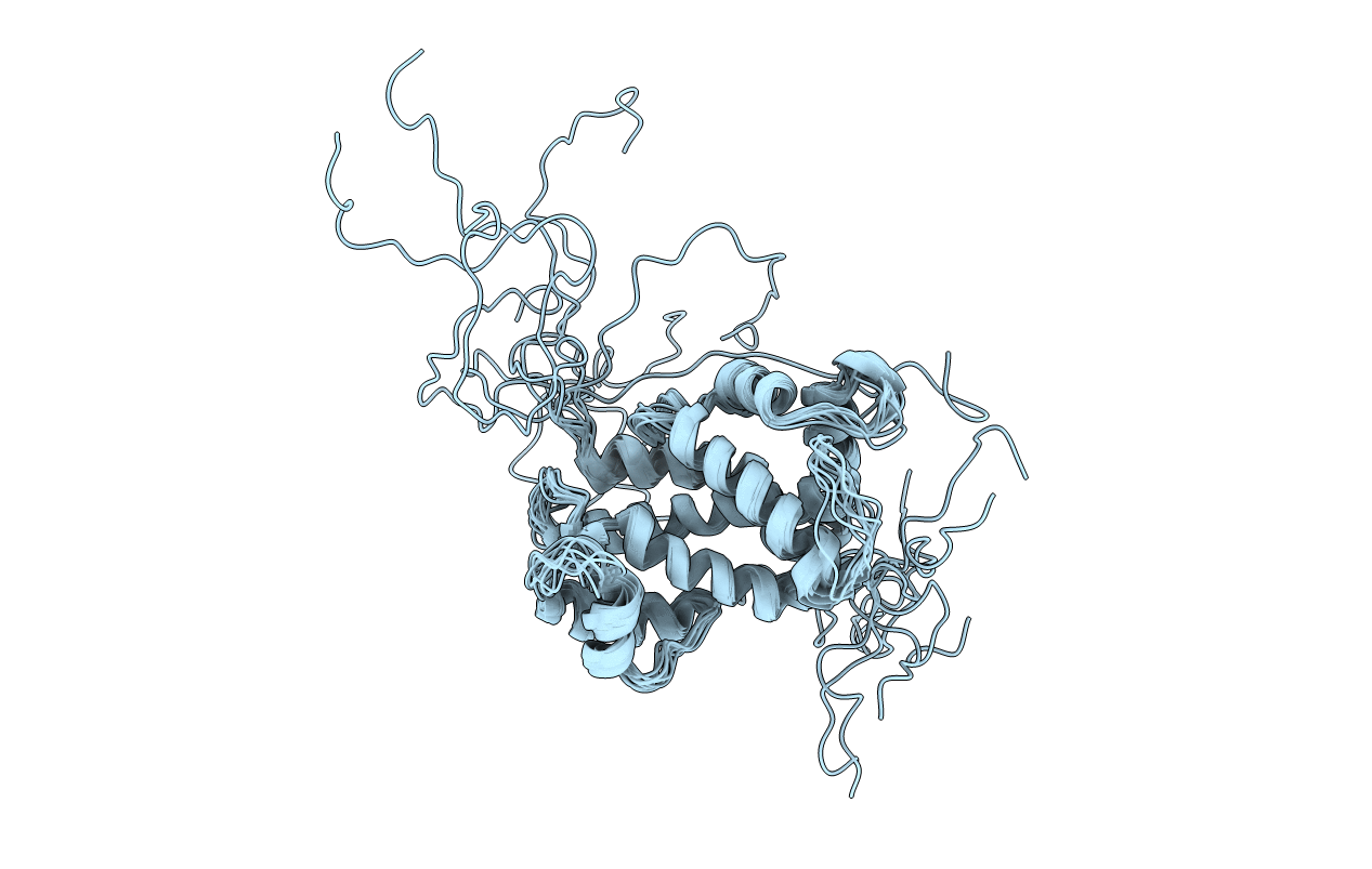 2LVV image