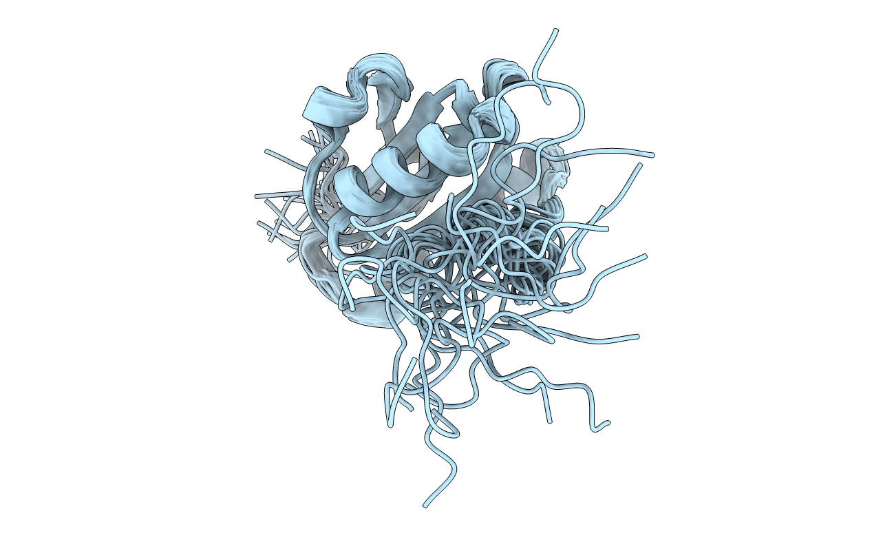 2LWF image