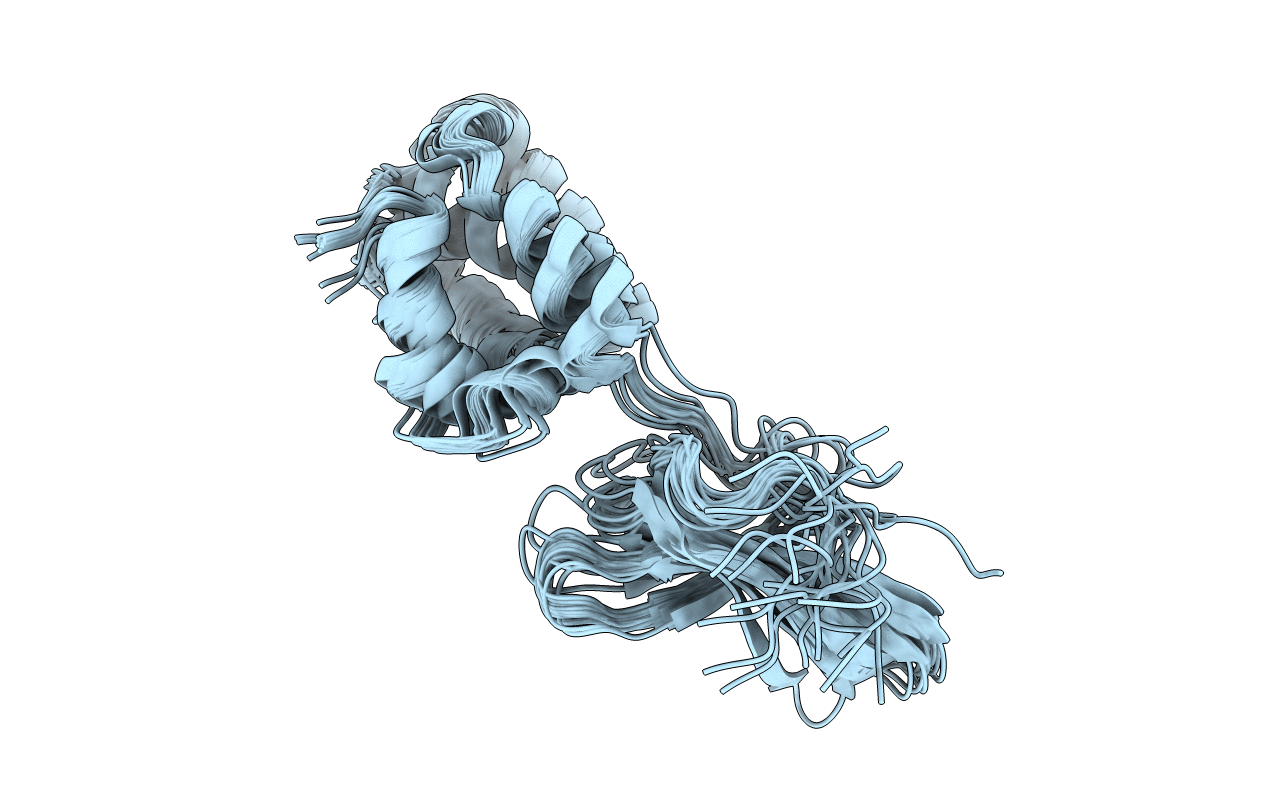2LWJ image
