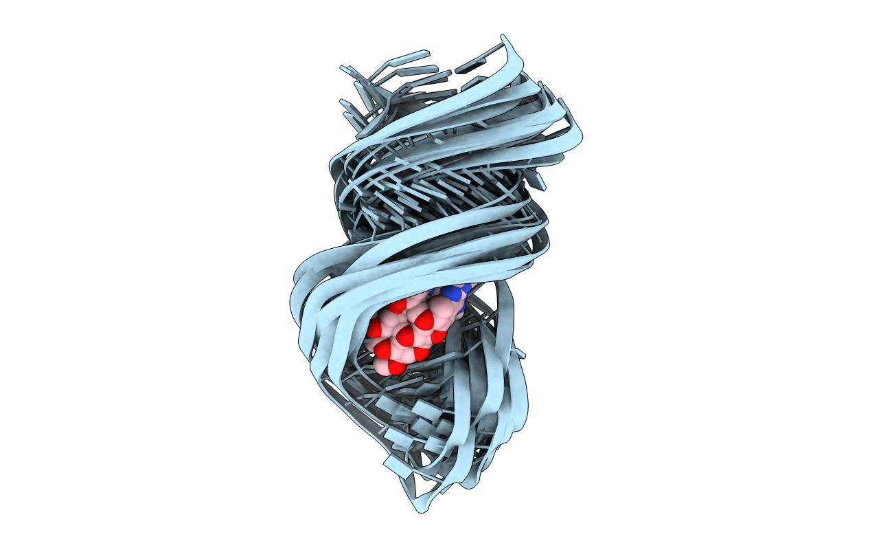 2LWK image