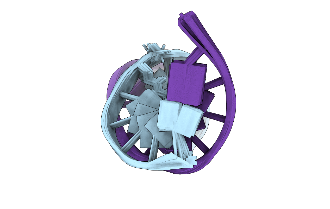 2LWM image