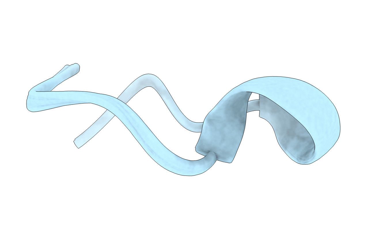 2LWS image
