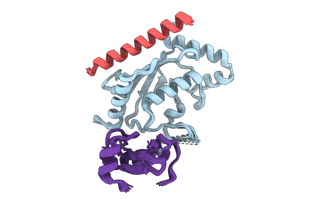 2LXP image