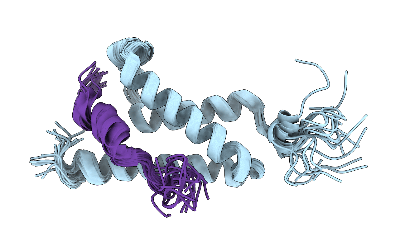 2LXS image