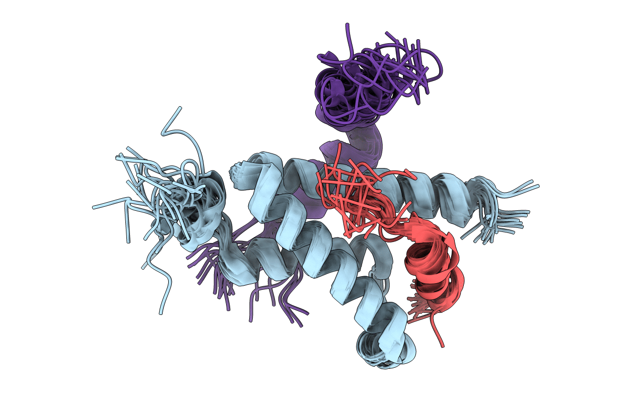 2LXT image