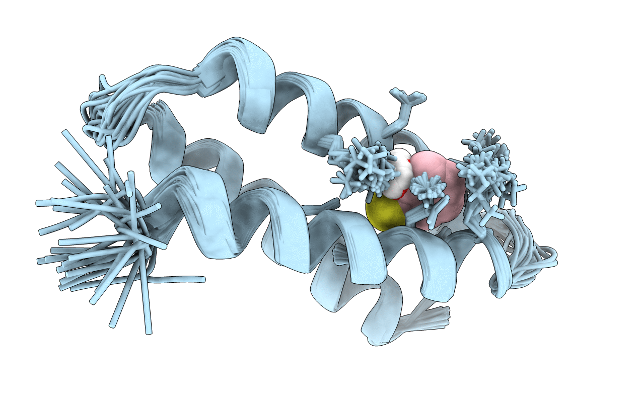 2LXY image