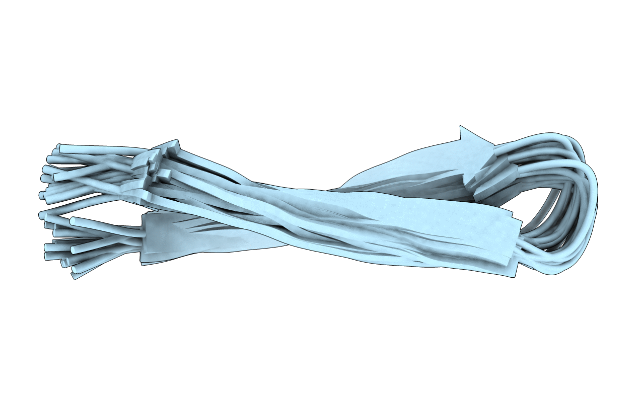 2LYE image